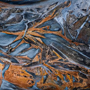 Freedom / Artwork by Lourdes Berbeyer